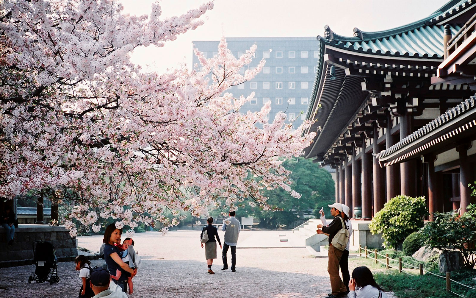 DU LỊCH NHẬT BẢN: FUKUOKA – NAGASAKI – BEPPU – KUMAMOTO