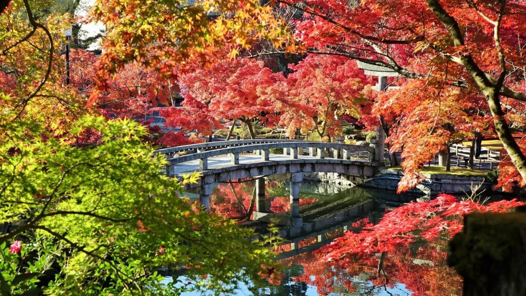 DU LỊCH NHẬT BẢN: OSAKA - KYOTO - HAKONE - LAKE KAWAGUCHI  FUJI MOUNTAIN – TOKYO