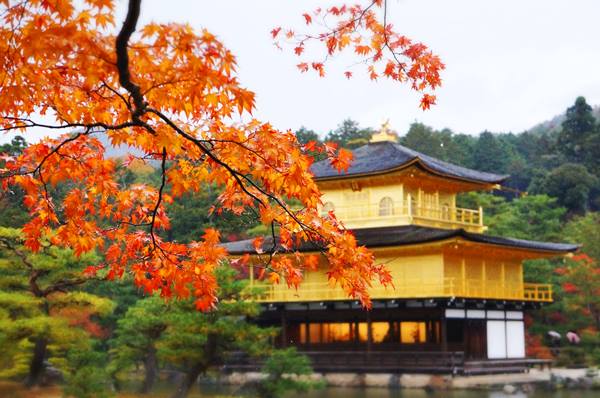 TOKYO- NÚI PHÚ SỸ- NAGOYA- KYOTO- OSAKA