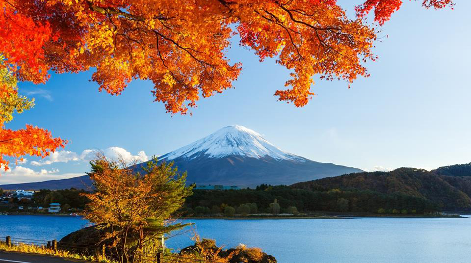 DU LỊCH NHẬT BẢN: TOKYO – HAKONE - NÚI PHÚ SĨ – THOẢ SỨC MUA SẮM