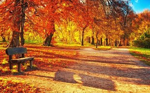 NƯỚC NGA MÙA THU YÊU KIỀU LỘNG LẪY TRONG SẮC VÀNG