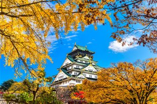 CẶP CÁ KÌNH BÍ ẨN TRÊN NÓC LÂU ĐÀI NAGOYA NHẬT BẢN
