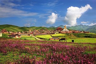 SHANGRI-LA - THUNG LŨNG BẤT TỬ