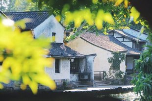 Ô TRẤN - BỨC TRANH CỔ TUYỆT ĐẸP
