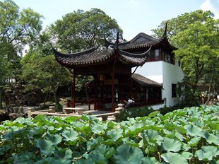 NHỘN NHỊP SƯ TỬ LÂM VIÊN Ở TÔ CHÂU