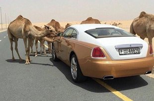 NHỮNG HÌNH ẢNH CHỈ CÓ Ở DUBAI