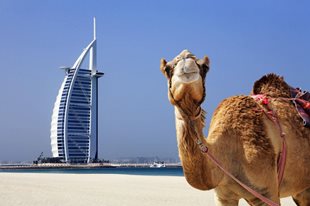 13 ĐIỀU XA XỈ ĐIÊN RỒ CỦA THÀNH PHỐ DUBAI