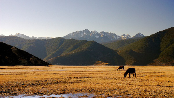 Thung-lung-bat-tu-Shangri-la