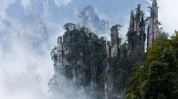 Truong-Gia-Gioi-thu-phu-cap-treo