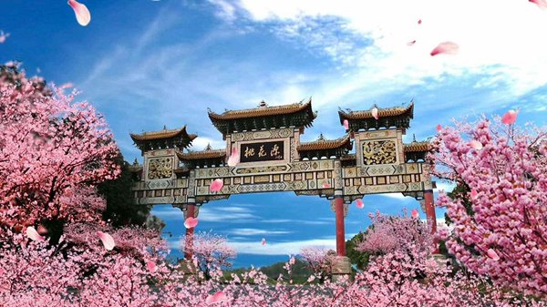 dao-hoa-vien-thuong-duc-1-nho