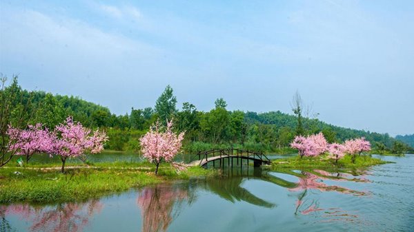 dao-hoa-vien-thuong-duc