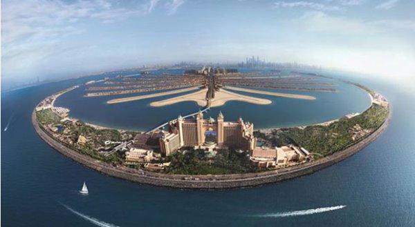 dao-nhan-tao-hinh-cay-co-dubai