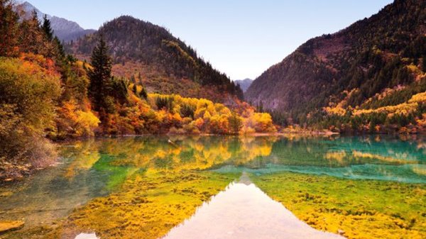 Cửu-trại-câu-mùa-thu-2-Happytours
