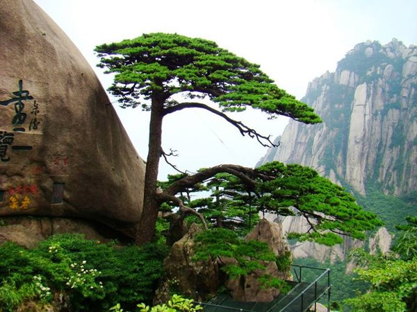 Day-nui-Hoang-Son-An-Huy-12