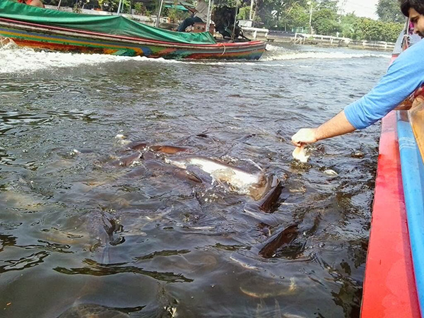 Du-thuyen-song-Chaphraya-Du-lich-Thai-Lan-Happtytours-5