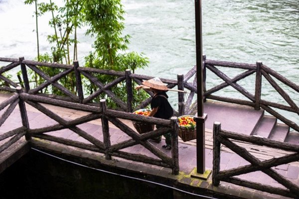Hang-rong-Phuong-Hoang-co-tran-11