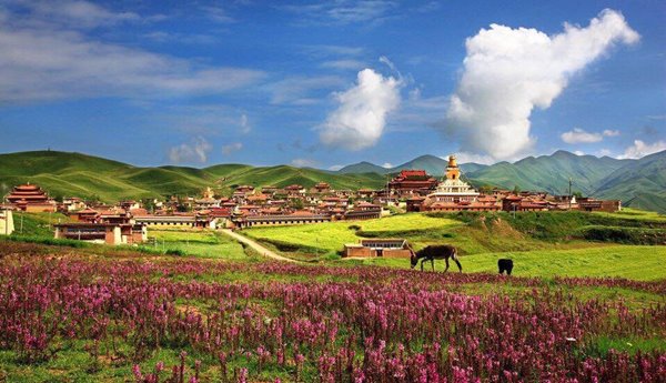shangri-la-thung-lung-bat-tu