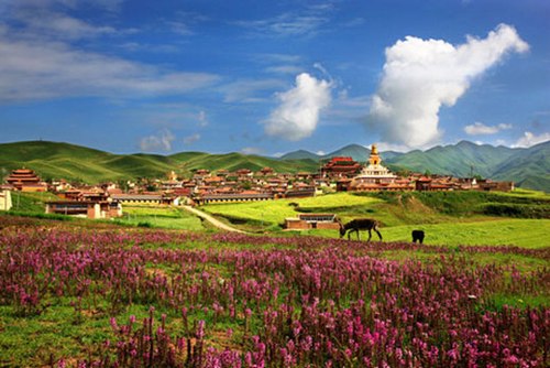 Shangrila-4-happytours