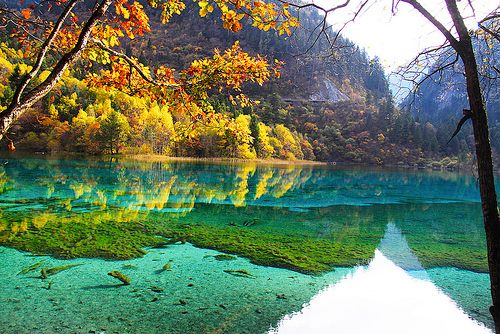 Thiên-đường-Cửu-Trại-Câu-7-Happytours