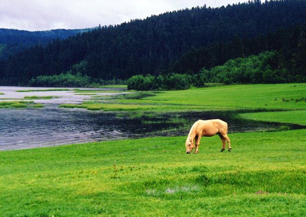 pudacuo-national-park-shangrila---happytours