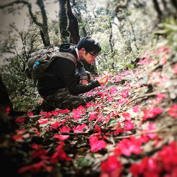 sapa 4