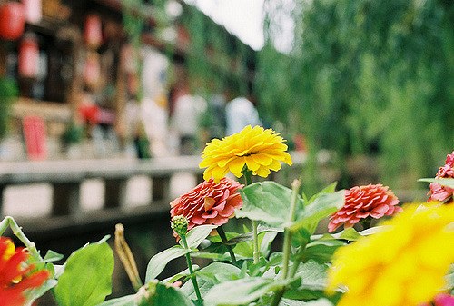 Đại-nghiên-cổ-trấn-tour-Le-Giang-du-lich-trung-quoc-Happytours-1