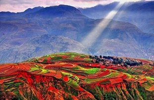 CÁNH ĐỒNG ĐỎ DONG CHUAN - VÂN NAM