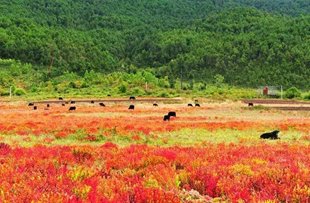 NHỮNG ĐIỂM THAM QUAN Ở LỆ GIANG CỔ TRẤN