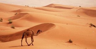 NHỮNG ĐIỂM THAM QUAN NÊN ĐẾN KHI GHÉ THĂM DUBAI